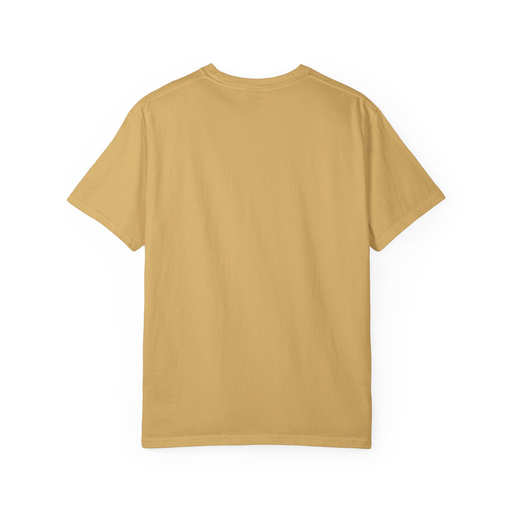 Vintage Disc Golf Shirt – Retro Disc Golf Club Graphic Tee, Chase Chains